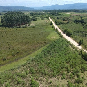 LOTE 013 - Uma área de terras rural em Terra de Areia /RS