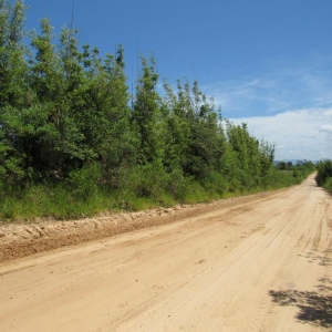 LOTE 013 - Uma área de terras rural em Terra de Areia /RS