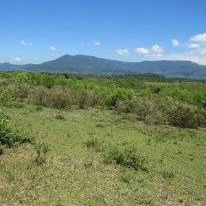 LOTE 013 - Uma área de terras rural em Terra de Areia /RS