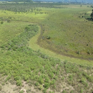 LOTE 013 - Uma área de terras rural em Terra de Areia /RS