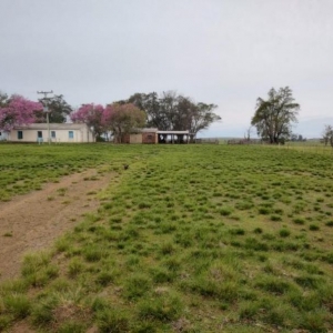 LOTE 004 - UMA FRAÇÃO DE CAMPO DE 10 HECTARES E 9.226 M²