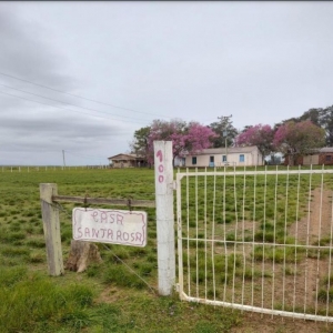 LOTE 004 - UMA FRAÇÃO DE CAMPO DE 10 HECTARES E 9.226 M²
