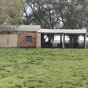 LOTE 004 - UMA FRAÇÃO DE CAMPO DE 10 HECTARES E 9.226 M²
