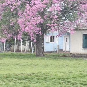 LOTE 004 - UMA FRAÇÃO DE CAMPO DE 10 HECTARES E 9.226 M²