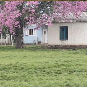 LOTE 004 - UMA FRAÇÃO DE CAMPO DE 10 HECTARES E 9.226 M²