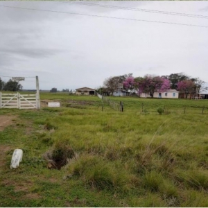 LOTE 004 - UMA FRAÇÃO DE CAMPO DE 10 HECTARES E 9.226 M²