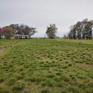 LOTE 004 - UMA FRAÇÃO DE CAMPO DE 10 HECTARES E 9.226 M²