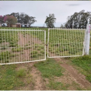 LOTE 004 - UMA FRAÇÃO DE CAMPO DE 10 HECTARES E 9.226 M²