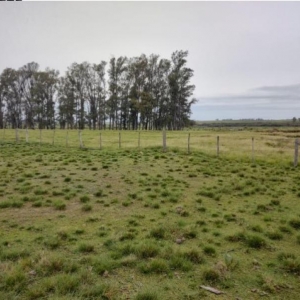 LOTE 004 - UMA FRAÇÃO DE CAMPO DE 10 HECTARES E 9.226 M²