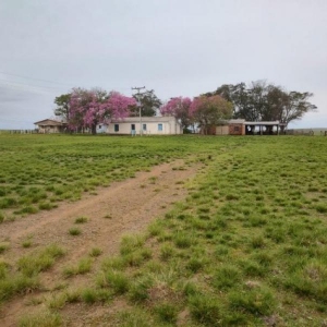 LOTE 004 - UMA FRAÇÃO DE CAMPO DE 10 HECTARES E 9.226 M²