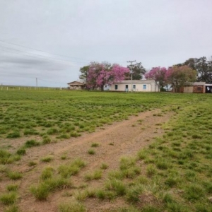 LOTE 004 - UMA FRAÇÃO DE CAMPO DE 10 HECTARES E 9.226 M²