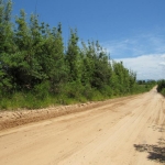 LOTE 013 - Uma área de terras rural em Terra de Areia /RS