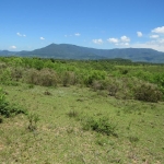 LOTE 013 - Uma área de terras rural em Terra de Areia /RS