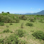 LOTE 013 - Uma área de terras rural em Terra de Areia /RS