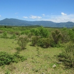 LOTE 013 - Uma área de terras rural em Terra de Areia /RS