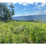 LOTE 001 - Uma Fração de terras de 140.000 m², Matr. 2.662 CRI Agudo
