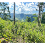 LOTE 001 - Uma Fração de terras de 140.000 m², Matr. 2.662 CRI Agudo