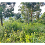LOTE 001 - Uma Fração de terras de 140.000 m², Matr. 2.662 CRI Agudo
