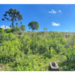 LOTE 001 - Uma Fração de terras de 140.000 m², Matr. 2.662 CRI Agudo