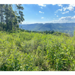LOTE 001 - Uma Fração de terras de 140.000 m², Matr. 2.662 CRI Agudo