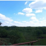 LOTE 001 - UMA FRAÇÃO DE CAMPO DE 150,57 HA, MATR.  16167 CRI ALEGRETE