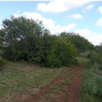 LOTE 001 - UMA FRAÇÃO DE CAMPO DE 150,57 HA, MATR.  16167 CRI ALEGRETE