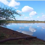 LOTE 001 - UMA FRAÇÃO DE CAMPO DE 150,57 HA, MATR.  16167 CRI ALEGRETE