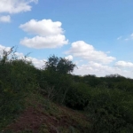 LOTE 001 - UMA FRAÇÃO DE CAMPO DE 150,57 HA, MATR.  16167 CRI ALEGRETE