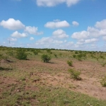 LOTE 001 - UMA FRAÇÃO DE CAMPO DE 150,57 HA, MATR.  16167 CRI ALEGRETE