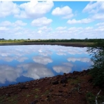 LOTE 001 - UMA FRAÇÃO DE CAMPO DE 150,57 HA, MATR.  16167 CRI ALEGRETE