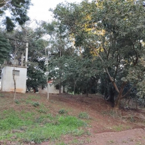 LOTE 01 -  LOTE URBANO - SANTO AUGUSTO - RS