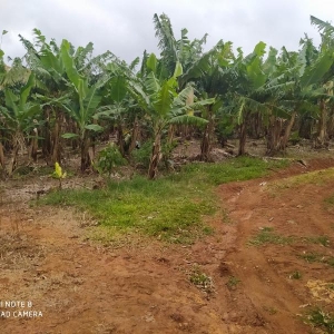 LOTE 017 - Fração ideal de 16,66% da área de 25.097,57m²