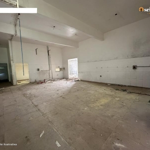 LOTE 001 - Área de 24.200,00m², contendo um pavilhão industrial com aproximadamente 617,25m² e um escritório com aproximadamente 140,00m², situada na Linha Cedro, Palmas, Encantado/RS