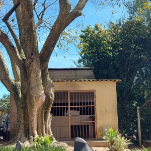 LOTE 022 - Apartamento em Porto Alegre/RS