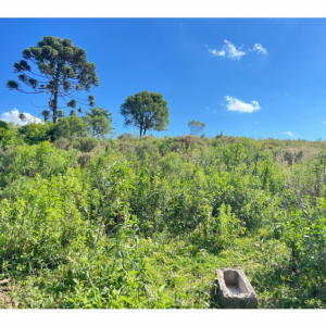 LOTE 001 - Uma Fração de terras de 140.000 m², Matr. 2.662 CRI Agudo