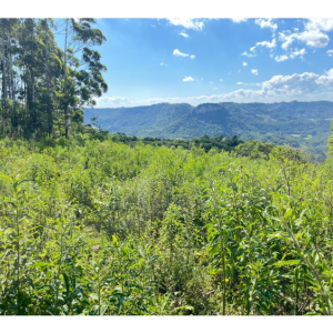 LOTE 001 - Uma Fração de terras de 140.000 m², Matr. 2.662 CRI Agudo