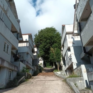 LOTE 789/2025 - Leilão de 11 casas em Condominio fechado em Porto Alegre/RS