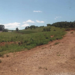 LOTE 001 - Área de 151.250,00m², contendo uma casa de madeira e uma estrebaria, situada na Linha Fernando Abott, Vespasiano Corrêa/RS