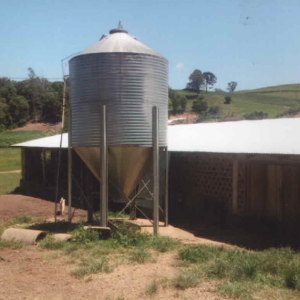 LOTE 001 - Área de 151.250,00m², contendo uma casa de madeira e uma estrebaria, situada na Linha Fernando Abott, Vespasiano Corrêa/RS