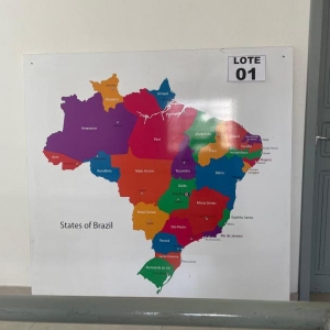 LOTE 001 - Mapa do Brasil colorido (aprox.: 1,5mx1,5)