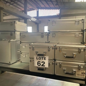 LOTE 062 - 19 Case cinza p/ transporte