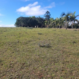 LOTE 001 - 2 HECTARES DE TERRA COM CASA DE ALVENARIA, INTERIOR DE SANTA MARIA- RS