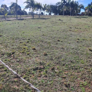 LOTE 001 - 2 HECTARES DE TERRA COM CASA DE ALVENARIA, INTERIOR DE SANTA MARIA- RS