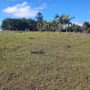 LOTE 001 - 2 HECTARES DE TERRA COM CASA DE ALVENARIA, INTERIOR DE SANTA MARIA- RS
