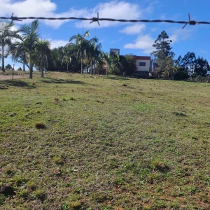 LOTE 001 - 2 HECTARES DE TERRA COM CASA DE ALVENARIA, INTERIOR DE SANTA MARIA- RS