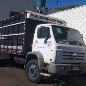 LOTE 014 - VW 13.150, placas AJO4E43, chassis 9BWX2VF281RY, ano/modelo 2000/2000, na cor branca,  RENAVAM nº 00747149437.