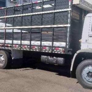 LOTE 014 - VW 13.150, placas AJO4E43, chassis 9BWX2VF281RY, ano/modelo 2000/2000, na cor branca,  RENAVAM nº 00747149437.