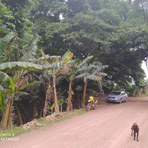 LOTE 007 - Fração ideal de 16,66% da área de 3.689,00m²