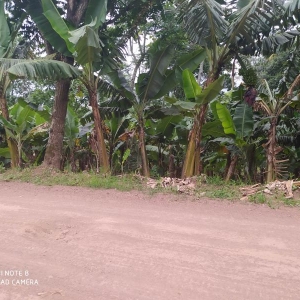 LOTE 007 - Fração ideal de 16,66% da área de 3.689,00m²