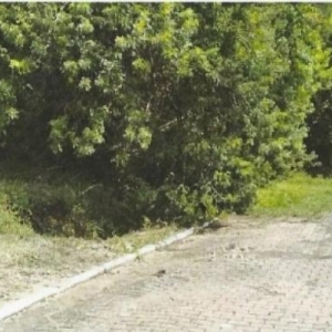 LOTE 003 - IMIGRANTE/RS - TERRENO, LOTE Nº 06, COM ÁREA DE 308,00M², LOCALIZADO NA RUA A, BAIRRO DALTRO FILHO,